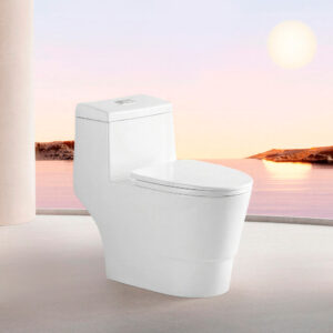 Inicio Sanitarios una sola pieza